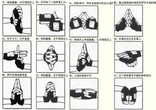 『火影忍者』忍术结印手势[图]-爱神的黑白羽翼-搜狐博客