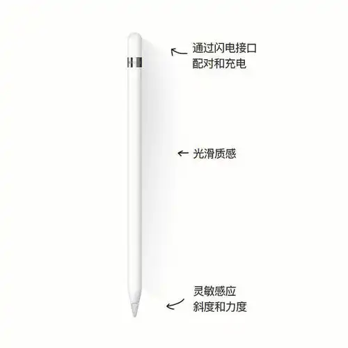 于2021年底成功下车ipad并在十二月底在苹果96官网买了apple pencil