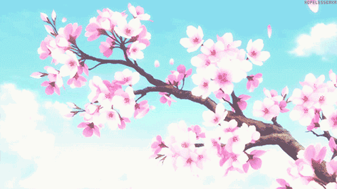 500_281gif 动态图 动图