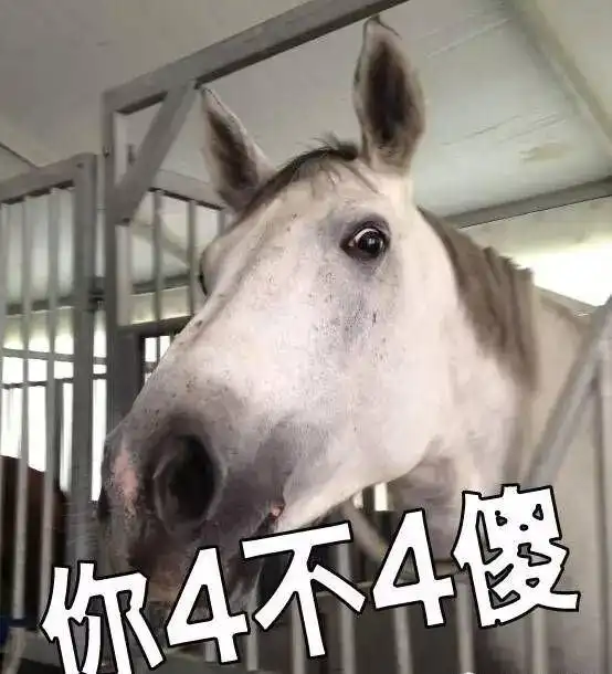 极尽搞怪的马儿表情包_高清图集_新浪网