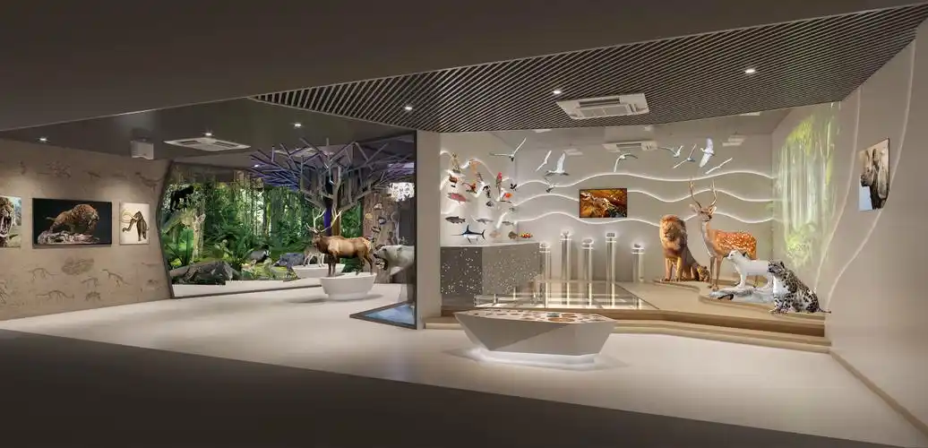 动物标本-福建恒达教育装备工程有限公司