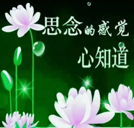 67远方的你还好吗?