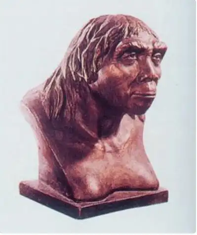 每天了解一则历史常识史前部分北京人