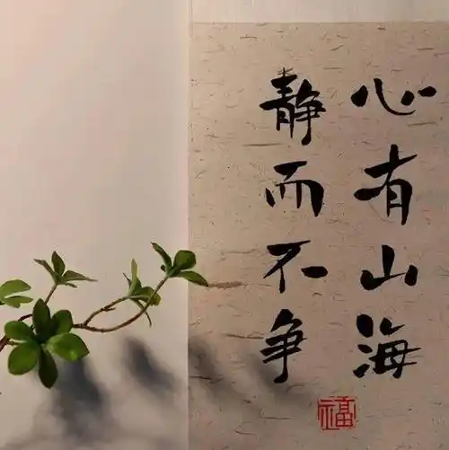 背景图 | 朋友圈高级感背景图