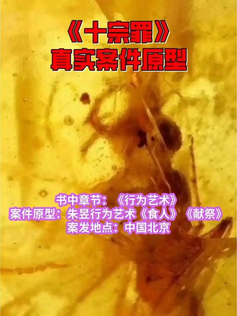 96《十宗罪》中的真实事件33:琥珀童尸案 97章节简介: 	 6015