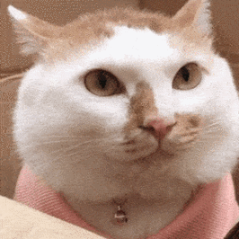 280_280gif 动态图 动图