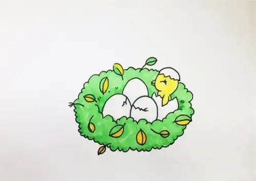 简单树上鸟窝简笔画步骤图解卡通彩色鸟窝简笔画怎么画