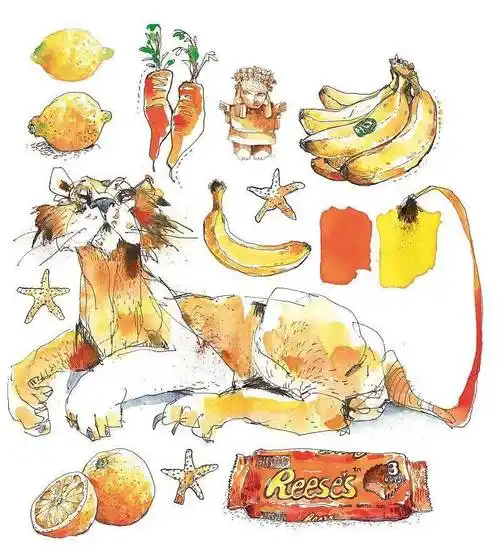 菲利大叔创意速写与漫步水彩的艺术