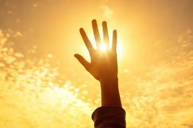 欣欣向荣的阳光句子自信洒脱优雅动听