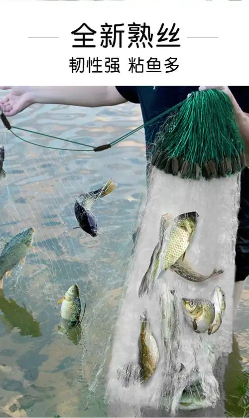 三层沉网捕逮鱼丝网不缠拦河扑鱼网进口渔网浮网抓鱼神器升级加密6指
