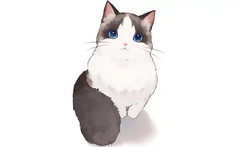 绘画教程小猫咪的画法边聊边画一只布偶猫