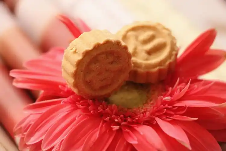 腔调满满的健康零食,陪你过年