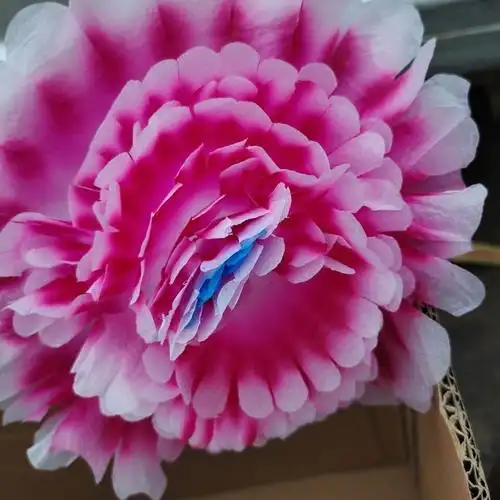 殡葬用品纸花袋装纸花花头花朵丧祭祀花篮花圈辅料丧事白事 25公分6层