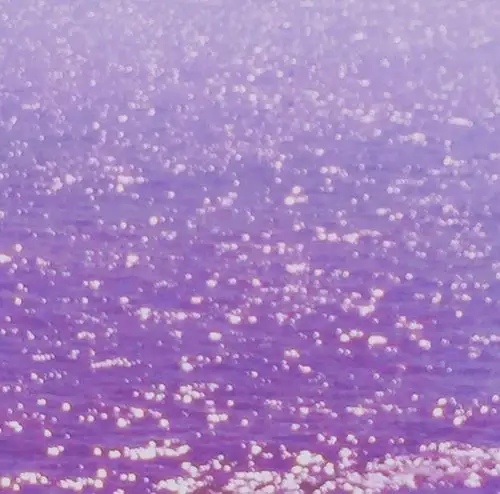 背景图 小清新 blingbling