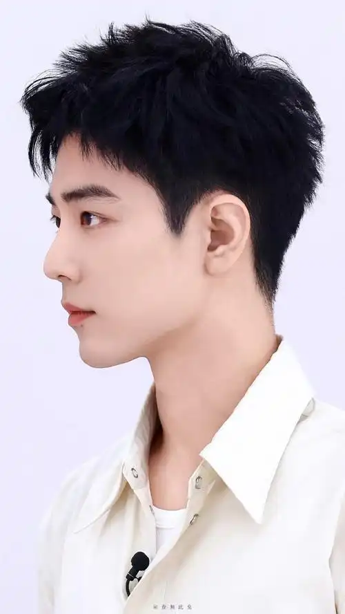 蓬勃的栗子头,尖尖的精灵耳,贝壳一样的兔牙,肖战的美从来都是灵动得