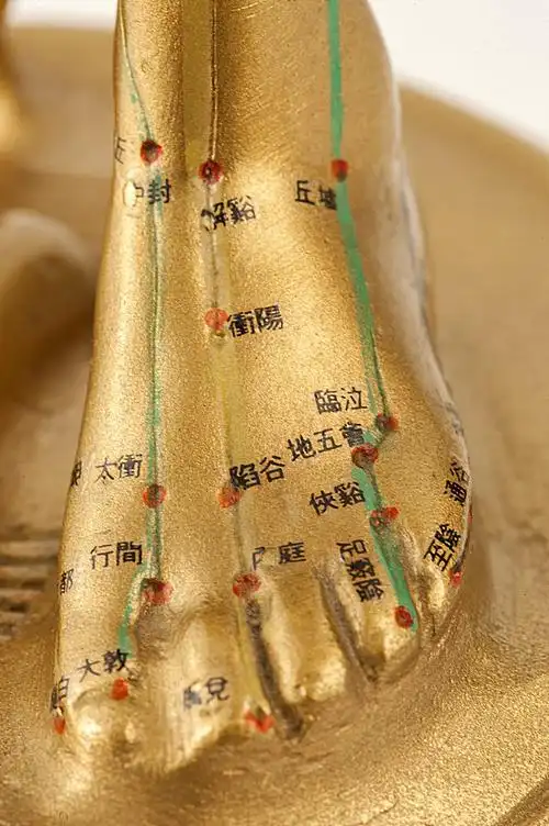 脚背 脚 脚背穴位 模型.jpg!sandingtv.com