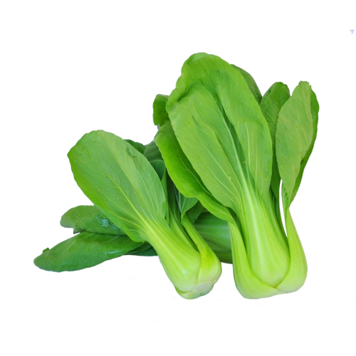 蔬菜蔬菜图片大全