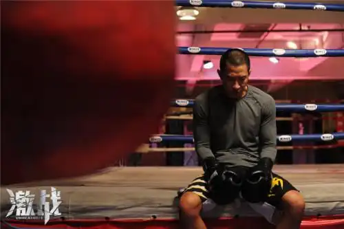 彭于晏,安志杰,梅婷,李菲儿等众多明星共同出演的动作剧情电影《激战