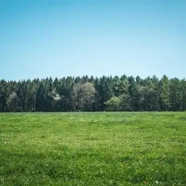 以上是关于大自然绿草地风景的文章由美头整理发布风景头像频道