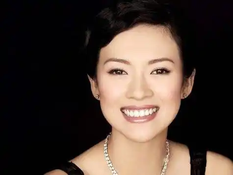 八字算命:章子怡一个成功女人的背后_大运_丁火_限制