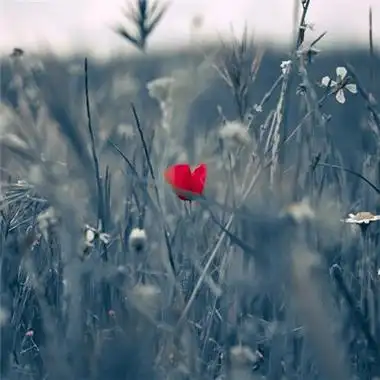 微信低调有个性风景独一无二头像图片大全_风景头像_有个性网