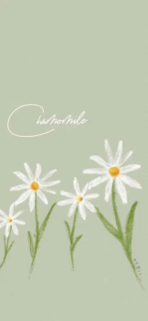 1006_2180竖版 竖屏