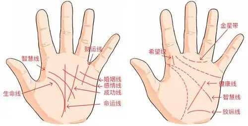 女人的面相和手相女性最全福相手相特征