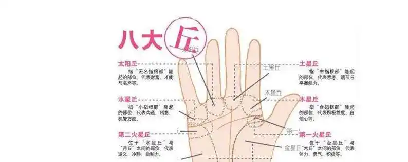 手掌的纹路图解