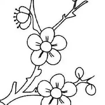 植物,它与松竹并成为岁寒三友,下面我们就来看看简笔画梅花是怎么画的