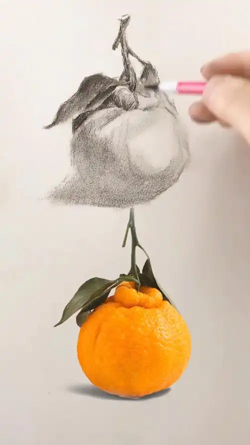 素描丑橘画法教程