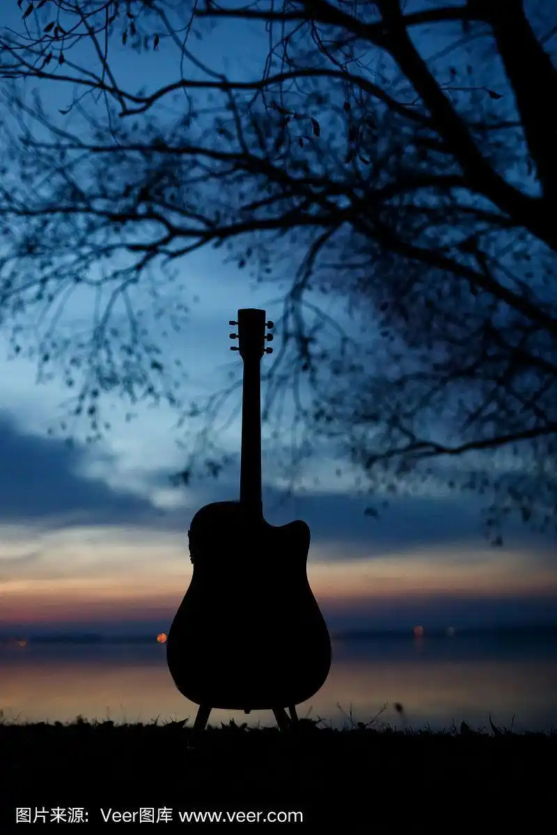 吉他,自然,概念,浪漫,鸟类