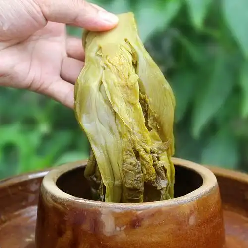 腌制酸菜