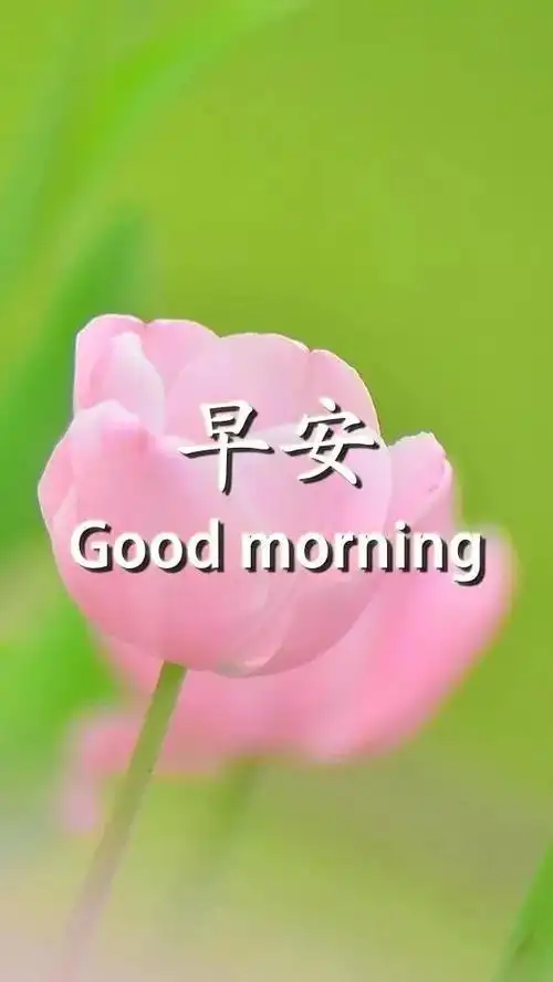 原创2021最新早安祝福语大全牛年早安问候语表情图片牛年祝福语短句