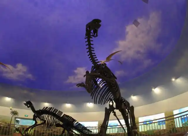 喜大普奔伊春这条线路入选全国乡村旅游学习体验线路