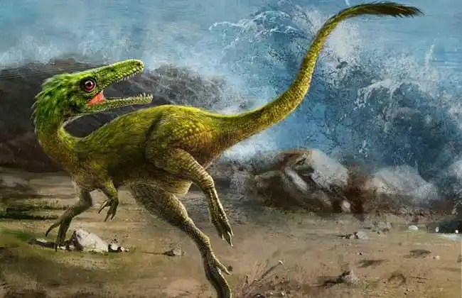 恐爪龙的资料和图片