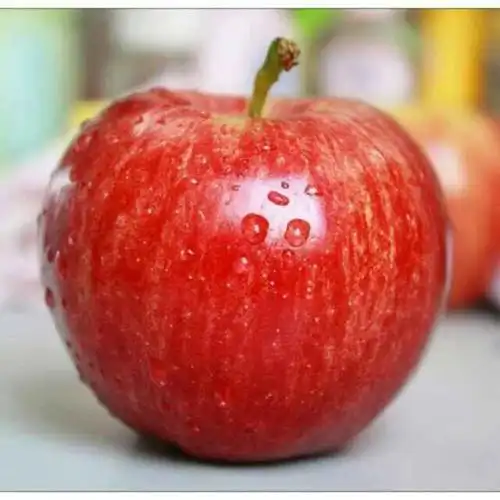 红苹果74476头像