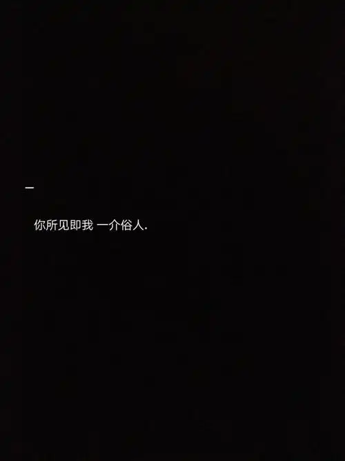 黑底背景图你所见即我一介俗人