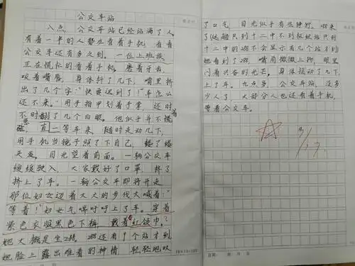 习作片段训练 —— 点面结合写场面