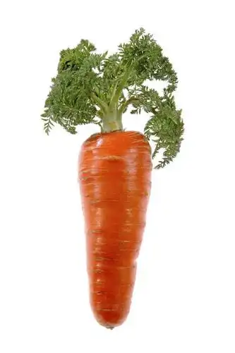 无人,竖图,室内,特写,白天,白色背景,正面,萝卜,胡萝卜,蔬菜,叶子