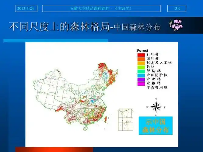 示中国 森林分布