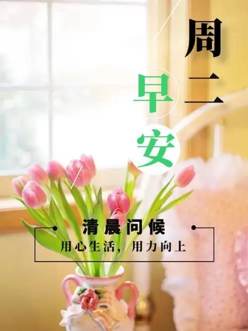 周二清晨温馨的早上好祝福问候短句,早晨最美的早安问候文字图片