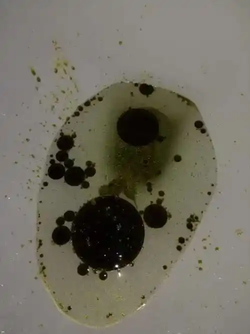 2个月暴减35斤!脂肪真正排出来,不瘦才怪!