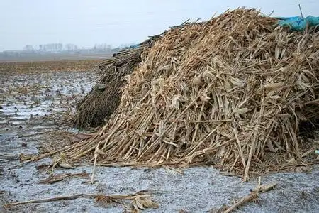 陆战之王坦克不过如此抗日时八路军一堆玉米杆就解决了