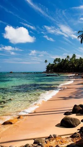 热带,沙滩,海水,棕榈树,石头,苔 iphone 壁纸