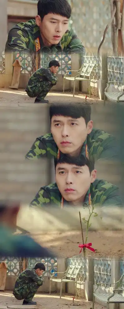 美景 鲜花 清新 摄影 田园 绿色 自然 淡雅 风景名胜 壁纸 素材 锁屏