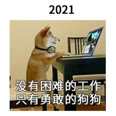 2021一组跨年的搞笑表情包:跨过的都会实现的