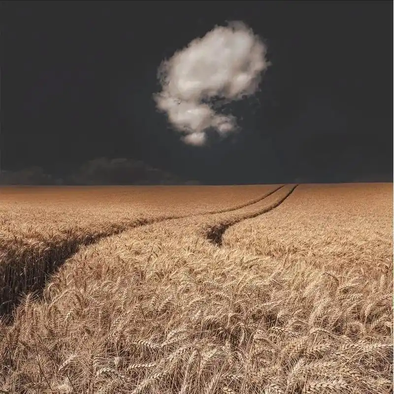 风景头像分享  #风景 #头像控 #自然 #优质头像 #头像 - 抖音