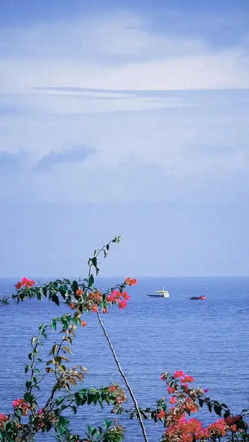 滴滴朋友圈背景@tfboys-王源王源超话#王源晒春日海边风景照