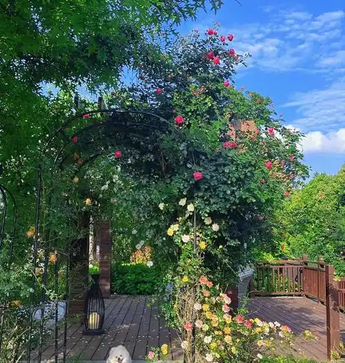 37岁张馨予晒自家花园,穿古风长裙美如花,网友:她把日子过成诗