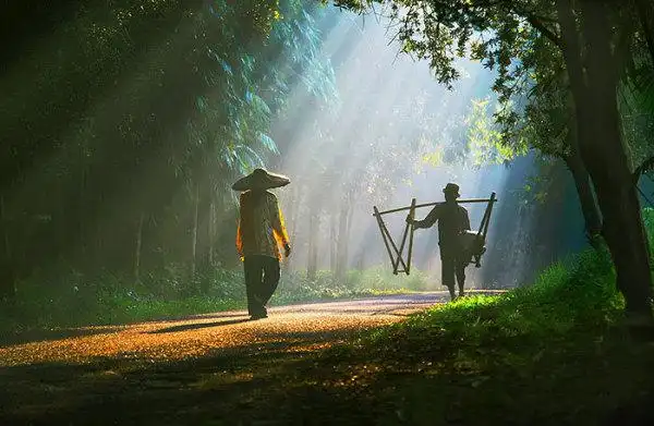 【组图】平凡的唯美好醉人(13张)